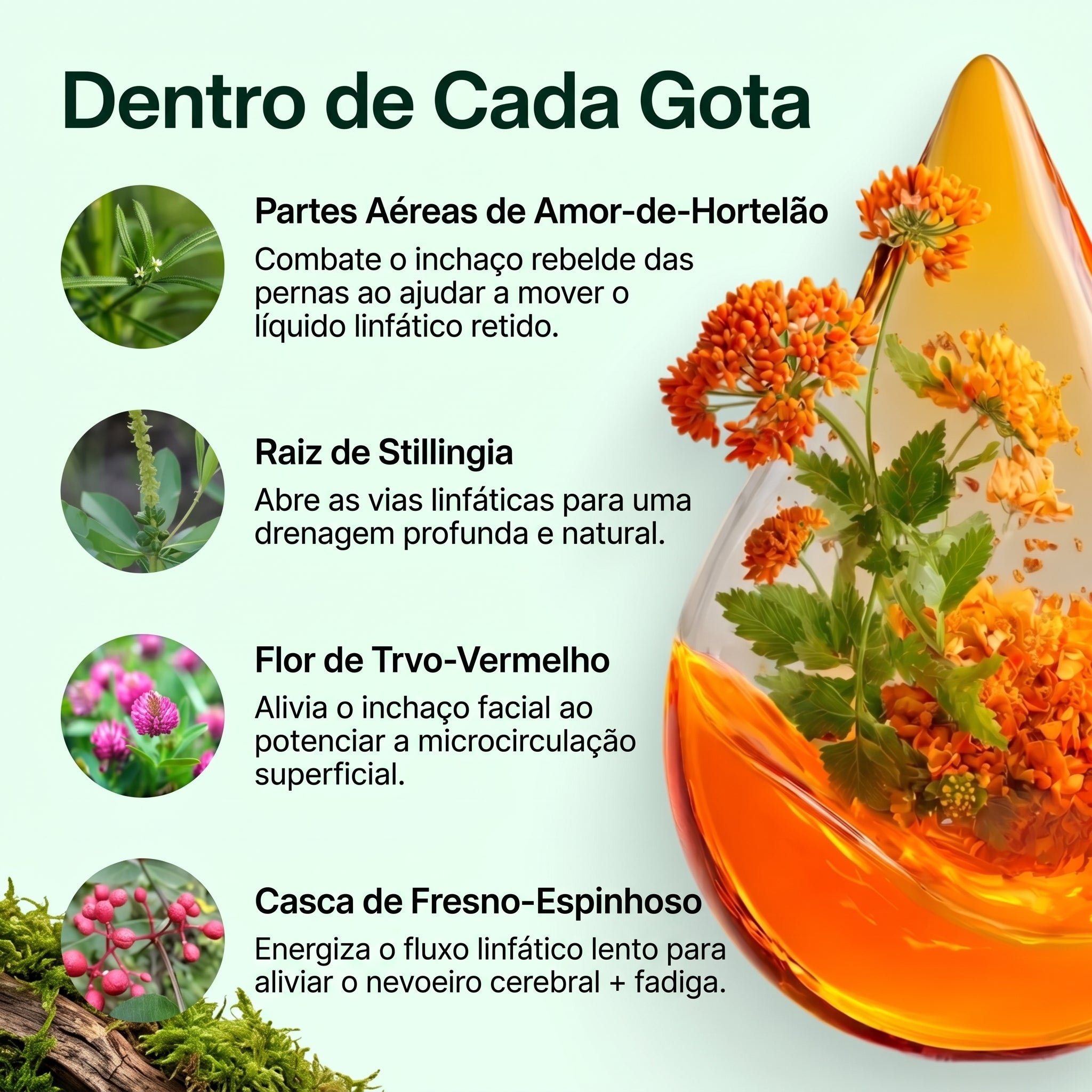 Drenaje Linfático Mayaverra — Gotas Naturales